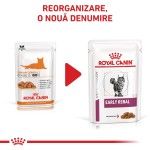 ROYAL CANIN Early Renal, dieta veterinara, plic hrana umeda pisici, sistem renal, (in sos), 12x85 g (Diete Veterinare - Pisici)
