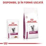 ROYAL CANIN Early Renal, dieta veterinara, plic hrana umeda pisici, sistem renal, (in sos), 12x85 g (Diete Veterinare - Pisici)
