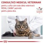 ROYAL CANIN Early Renal, dieta veterinara, plic hrana umeda pisici, sistem renal, (in sos), 12x85 g (Diete Veterinare - Pisici)