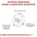 ROYAL CANIN Early Renal, dieta veterinara, hrana uscata pisici, sistem renal, 1.5 kg (Diete Veterinare - Pisici)
