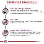 ROYAL CANIN Early Renal, XS-XL, dieta veterinara, plic hrana umeda caini, sistem renal, (in sos), bax, 12x100 g (Diete Veterinare - Caini)