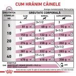 ROYAL CANIN Early Renal, XS-XL, dieta veterinara, plic hrana umeda caini, sistem renal, (in sos), bax, 12x100 g (Diete Veterinare - Caini)