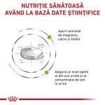ROYAL CANIN Urinary S/O, dieta veterinara pisici, sistem urinar, 7 kg (Diete Veterinare - Pisici)