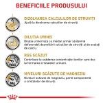 ROYAL CANIN Urinary S/O, dieta veterinara, hrana uscata pisici, sistem urinar, 1.5 kg (Diete Veterinare - Pisici)