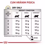 ROYAL CANIN Urinary S/O, dieta veterinara pisici, sistem urinar, 7 kg (Diete Veterinare - Pisici)