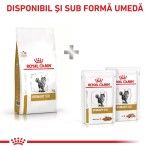 ROYAL CANIN Urinary S/O, dieta veterinara, hrana uscata pisici, sistem urinar, 1.5 kg (Diete Veterinare - Pisici)