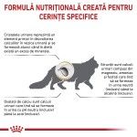 ROYAL CANIN Urinary S/O, dieta veterinara pisici, sistem urinar, 7 kg (Diete Veterinare - Pisici)