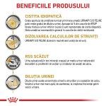 ROYAL CANIN Urinary S/O, dieta veterinara pisici, sistem urinar, (pate), 85 g (Diete Veterinare - Pisici)