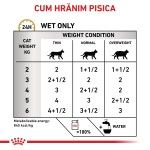 ROYAL CANIN Urinary S/O, dieta veterinara pisici, sistem urinar, (pate), 85 g (Diete Veterinare - Pisici)