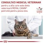ROYAL CANIN Urinary S/O, dieta veterinara pisici, sistem urinar, (pate), 85 g (Diete Veterinare - Pisici)