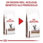 ROYAL CANIN Gastrointestinal Fibre Response, dieta veterinara, hrana uscata pisici, sistem digestiv, 2k g (Diete Veterinare - Pisici)