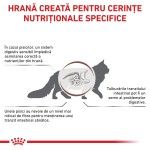 ROYAL CANIN Gastrointestinal Fibre Response, dieta veterinara, hrana uscata pisici, sistem digestiv, 2k g (Diete Veterinare - Pisici)