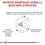 ROYAL CANIN Gastrointestinal Fibre Response, dieta veterinara, hrana uscata pisici, sistem digestiv, 2k g (Diete Veterinare - Pisici)