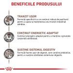 ROYAL CANIN Gastrointestinal Fibre Response, dieta veterinara, hrana uscata pisici, sistem digestiv, 2k g (Diete Veterinare - Pisici)