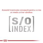 ROYAL CANIN Gastrointestinal Fibre Response, dieta veterinara, hrana uscata pisici, sistem digestiv, 2k g (Diete Veterinare - Pisici)