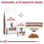 ROYAL CANIN Gastrointestinal Fibre Response, dieta veterinara, hrana uscata pisici, sistem digestiv, 2k g (Diete Veterinare - Pisici)