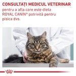 ROYAL CANIN Gastrointestinal Fibre Response, dieta veterinara, hrana uscata pisici, sistem digestiv, 2k g (Diete Veterinare - Pisici)