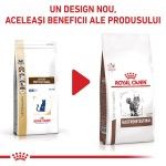 ROYAL CANIN Gastrointestinal, dieta veterinara, hrana uscata pisici, sistem digestiv, 400 g (Diete Veterinare - Pisici)