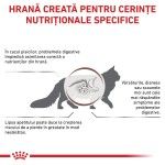 ROYAL CANIN Gastrointestinal, dieta veterinara, hrana uscata pisici, sistem digestiv, 400 g (Diete Veterinare - Pisici)