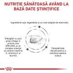 ROYAL CANIN Gastrointestinal, dieta veterinara, hrana uscata pisici, sistem digestiv, 400 g (Diete Veterinare - Pisici)