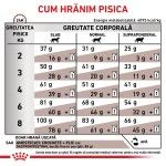 ROYAL CANIN Gastrointestinal, dieta veterinara, hrana uscata pisici, sistem digestiv, 400 g (Diete Veterinare - Pisici)
