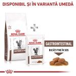 ROYAL CANIN Gastrointestinal, dieta veterinara, hrana uscata pisici, sistem digestiv, 400 g (Diete Veterinare - Pisici)