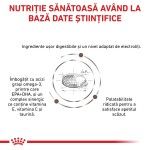ROYAL CANIN Gastrointestinal, M-XL, dieta veterinara, hrana uscata caini, sistem digestiv, 15 kg (Diete Veterinare - Caini)