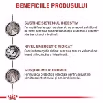 ROYAL CANIN Gastrointestinal, M-XL, dieta veterinara, hrana uscata caini, sistem digestiv, 15 kg (Diete Veterinare - Caini)