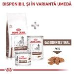 ROYAL CANIN Gastrointestinal, M-XL, dieta veterinara, hrana uscata caini, sistem digestiv, 15 kg (Diete Veterinare - Caini)