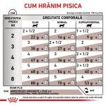 ROYAL CANIN Gastrointestinal Fibre Response, dieta veterinara, plic hrana umeda pisici, sistem digestiv, (in sos), 12x85 g (Diete Veterinare - Pisici)