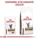 ROYAL CANIN Gastrointestinal Fibre Response, dieta veterinara, plic hrana umeda pisici, sistem digestiv, (in sos), 85 g (Diete Veterinare - Pisici)