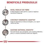 ROYAL CANIN Gastrointestinal High Fibre, XS-XL, dieta veterinara, hrana uscata caini, sistem digestiv, 7.5 kg (Diete Veterinare - Caini)