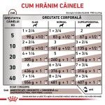 ROYAL CANIN Gastrointestinal High Fibre, XS-XL, dieta veterinara, conserva hrana umeda caini, sistem digestiv, (pate), 200 g (Diete Veterinare - Caini)