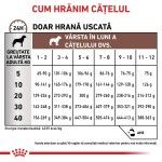 ROYAL CANIN Gastrointestinal Puppy, XS-XL, dieta veterinara, hrana uscata caini junior, sistem digestiv, 2.5 kg (Diete Veterinare - Caini)