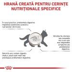 ROYAL CANIN Gastrointestinal Kitten, dieta veterinara, hrana uscata pisici junior, sistem digestiv, 400 g (Diete Veterinare - Pisici)