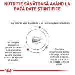 ROYAL CANIN Gastrointestinal Kitten, dieta veterinara, hrana uscata pisici junior, sistem digestiv, 400 g (Diete Veterinare - Pisici)