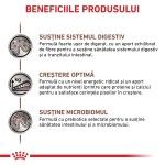 ROYAL CANIN Gastrointestinal Kitten, dieta veterinara, hrana uscata pisici junior, sistem digestiv, 400 g (Diete Veterinare - Pisici)