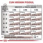 ROYAL CANIN Gastrointestinal Kitten, dieta veterinara, hrana uscata pisici junior, sistem digestiv, 400 g (Diete Veterinare - Pisici)