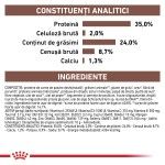 ROYAL CANIN Gastrointestinal Kitten, dieta veterinara, hrana uscata pisici junior, sistem digestiv, 400 g (Diete Veterinare - Pisici)