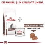ROYAL CANIN Gastrointestinal Kitten, dieta veterinara, hrana uscata pisici junior, sistem digestiv, 400 g (Diete Veterinare - Pisici)