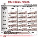 ROYAL CANIN Gastrointestinal Kitten, dieta veterinara, conserva hrana umeda pisici junior, sistem digestiv, (pate fin), 195 g (Diete Veterinare - Pisici)