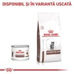 ROYAL CANIN Gastrointestinal Kitten, dieta veterinara, conserva hrana umeda pisici junior, sistem digestiv, (pate fin), 195 g (Diete Veterinare - Pisici)