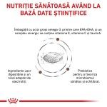 ROYAL CANIN Gastrointestinal Low Fat Small Dog, XS-S, dieta veterinara, hrana uscata caini, sistem digestiv, 1.5 kg (Diete Veterinare - Caini)