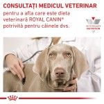 ROYAL CANIN Gastrointestinal Low Fat, XS-XL, dieta veterinara, conserva hrana umeda caini, sistem digestiv, (pate), 200 g (Diete Veterinare - Caini)