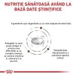 ROYAL CANIN Gastrointestinal Moderate Calorie, dieta veterinara pisici, sistem digestiv, 4 kg (Diete Veterinare - Pisici)