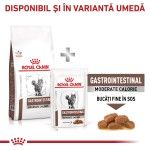 ROYAL CANIN Gastrointestinal Moderate Calorie, dieta veterinara pisici, sistem digestiv, 4 kg (Diete Veterinare - Pisici)