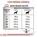 ROYAL CANIN Gastrointestinal Moderate Calorie, XS-XL, dieta veterinara, hrana uscata caini, sistem digestiv, 2 kg (Diete Veterinare - Caini)
