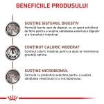ROYAL CANIN Gastrointestinal Moderate Calorie, dieta veterinara pisici, sistem digestiv, (in sos), 85 g (Diete Veterinare - Pisici)