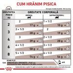 ROYAL CANIN Gastrointestinal Moderate Calorie, dieta veterinara pisici, sistem digestiv, (in sos), 85 g (Diete Veterinare - Pisici)