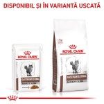 ROYAL CANIN Gastrointestinal Moderate Calorie, dieta veterinara pisici, sistem digestiv, (in sos), 85 g (Diete Veterinare - Pisici)